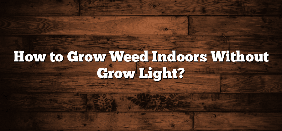 How to Grow Weed Indoors Without Grow Light?