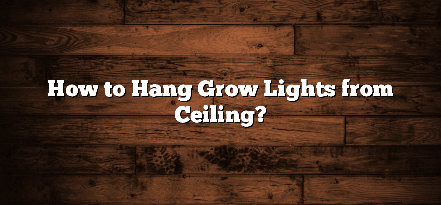 How to Hang Grow Lights from Ceiling?