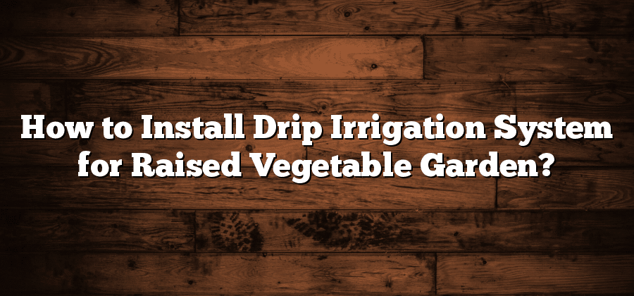 How to Install Drip Irrigation System for Raised Vegetable Garden?