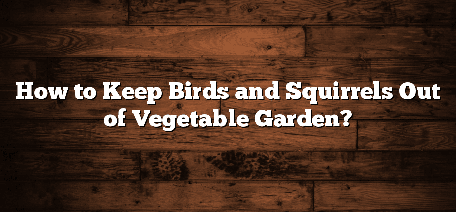 How to Keep Birds and Squirrels Out of Vegetable Garden?