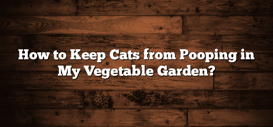 How to Keep Cats from Pooping in My Vegetable Garden?