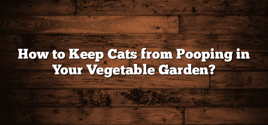 How to Keep Cats from Pooping in Your Vegetable Garden?