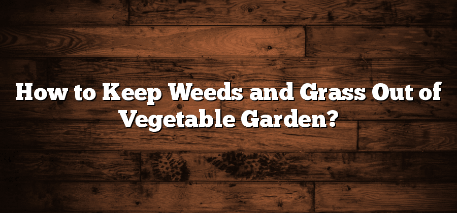 How to Keep Weeds and Grass Out of Vegetable Garden?