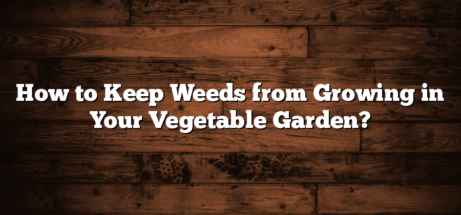 How to Keep Weeds from Growing in Your Vegetable Garden?
