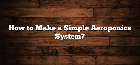 How to Make a Simple Aeroponics System?