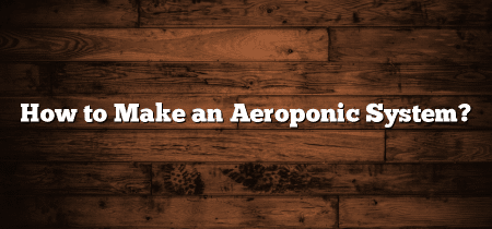 How to Make an Aeroponic System?