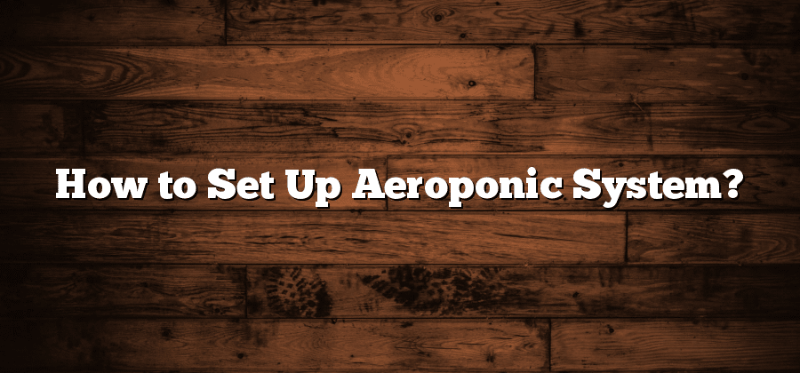 How to Set Up Aeroponic System?