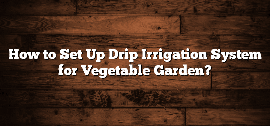 How to Set Up Drip Irrigation System for Vegetable Garden?