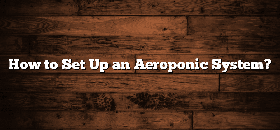 How to Set Up an Aeroponic System?