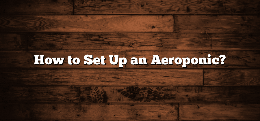 How to Set Up an Aeroponic?