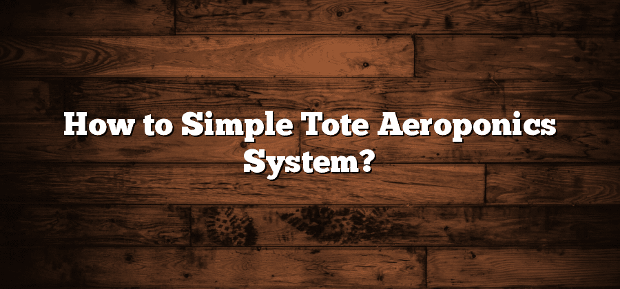 How to Simple Tote Aeroponics System?