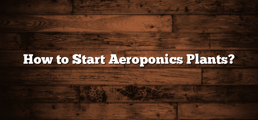 How to Start Aeroponics Plants?