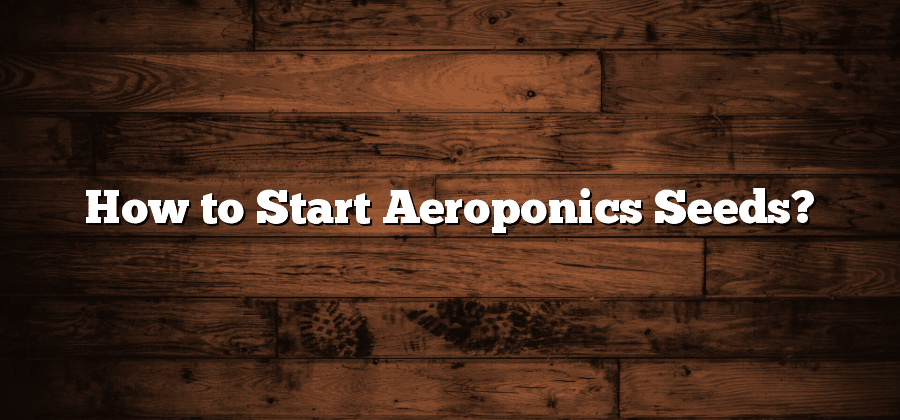 How to Start Aeroponics Seeds?