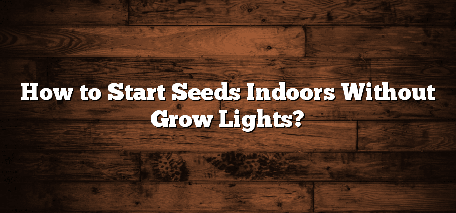 How to Start Seeds Indoors Without Grow Lights?