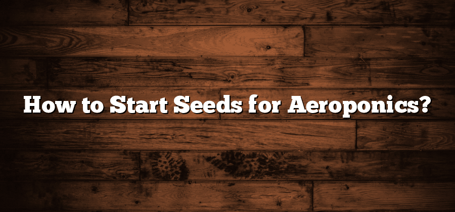 How to Start Seeds for Aeroponics?