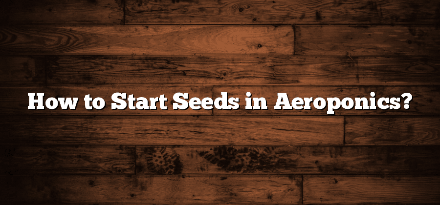 How to Start Seeds in Aeroponics?