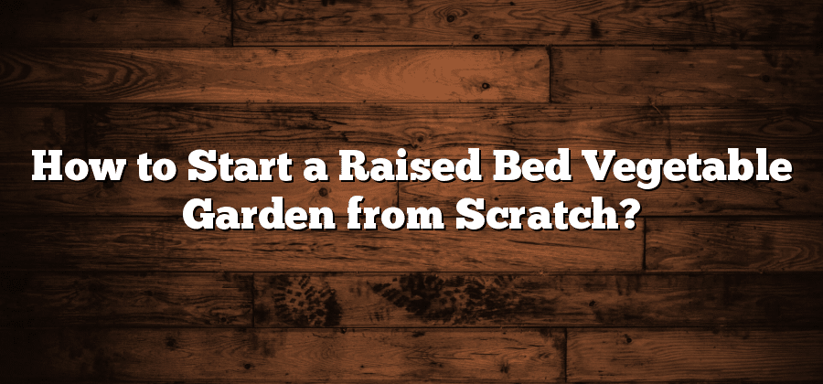 How to Start a Raised Bed Vegetable Garden from Scratch?