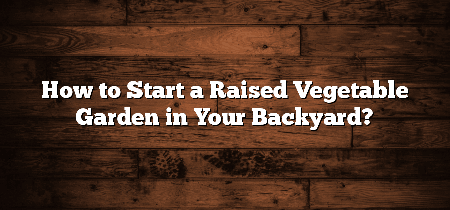 How to Start a Raised Vegetable Garden in Your Backyard?