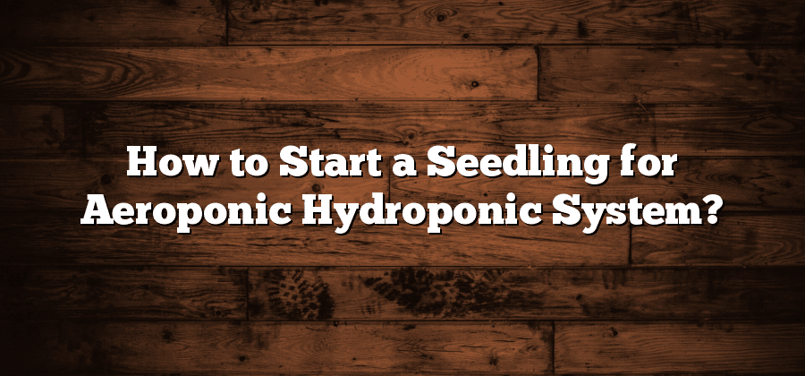 How to Start a Seedling for Aeroponic Hydroponic System?