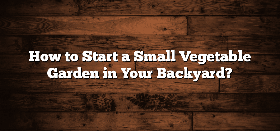 How to Start a Small Vegetable Garden in Your Backyard?