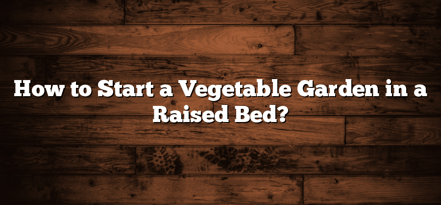 How to Start a Vegetable Garden in a Raised Bed?