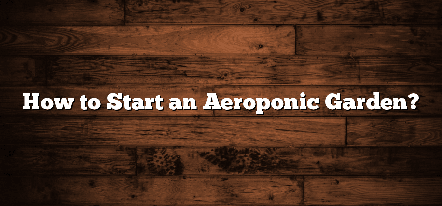 How to Start an Aeroponic Garden?