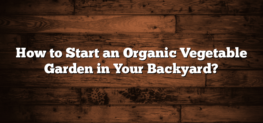 How to Start an Organic Vegetable Garden in Your Backyard?