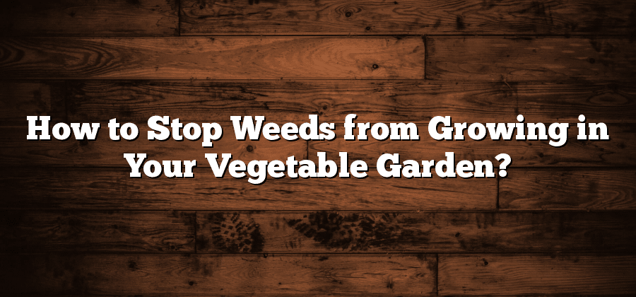 How to Stop Weeds from Growing in Your Vegetable Garden?
