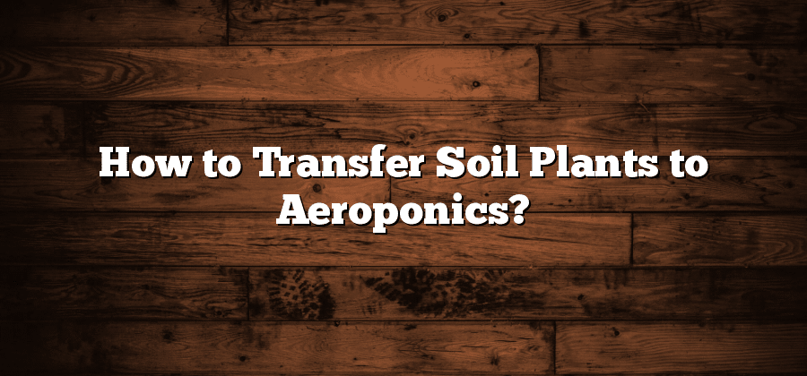 How to Transfer Soil Plants to Aeroponics?