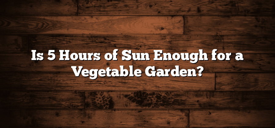 Is 5 Hours of Sun Enough for a Vegetable Garden?
