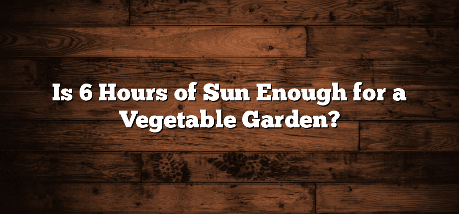 Is 6 Hours of Sun Enough for a Vegetable Garden?