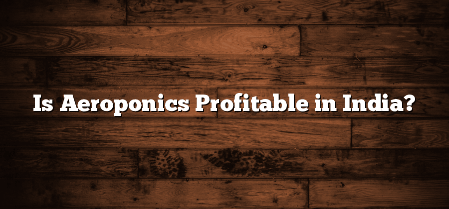 Is Aeroponics Profitable in India?