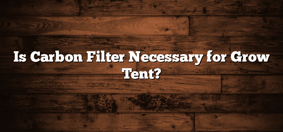 Is Carbon Filter Necessary for Grow Tent?