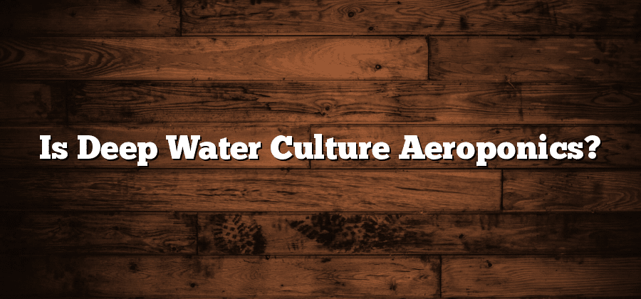 Is Deep Water Culture Aeroponics?