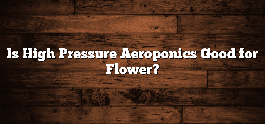 Is High Pressure Aeroponics Good for Flower?