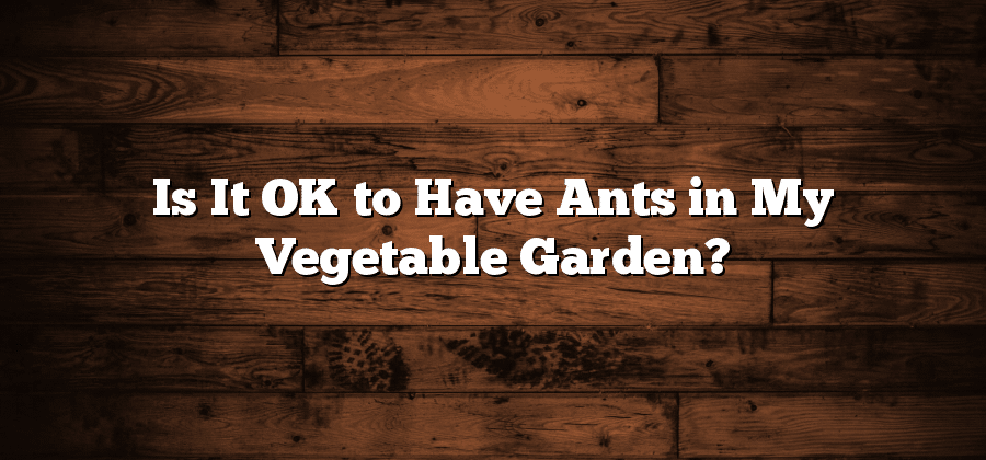 Is It OK to Have Ants in My Vegetable Garden?