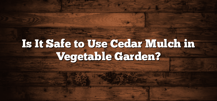 Is It Safe to Use Cedar Mulch in Vegetable Garden?