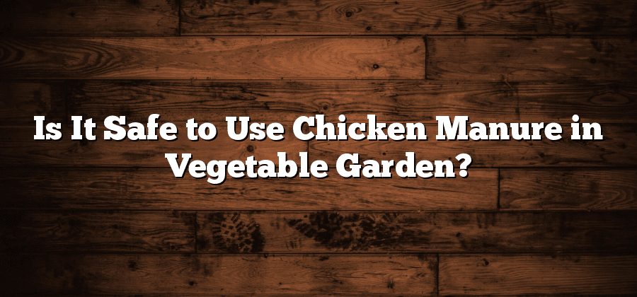 Is It Safe to Use Chicken Manure in Vegetable Garden?