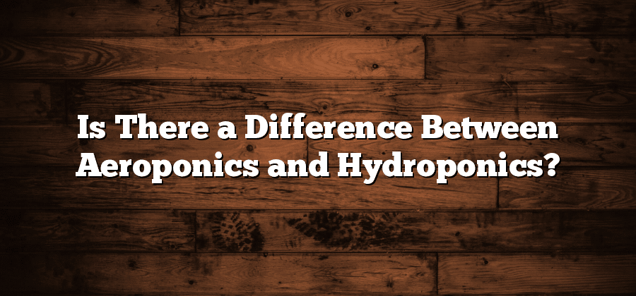 Is There a Difference Between Aeroponics and Hydroponics?