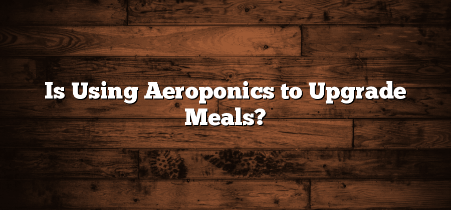 Is Using Aeroponics to Upgrade Meals?