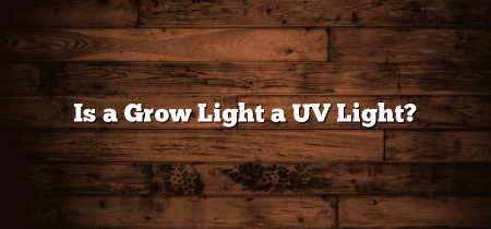 Is a Grow Light a UV Light?