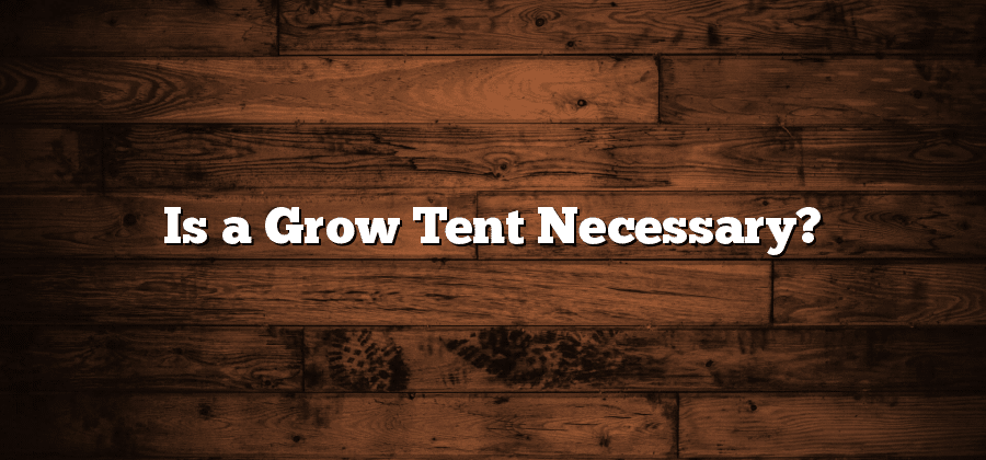 Is a Grow Tent Necessary?
