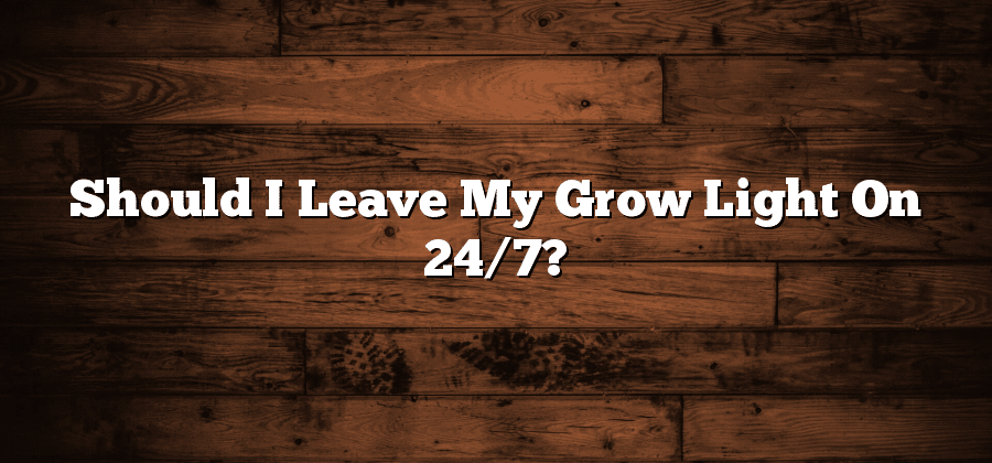 Should I Leave My Grow Light On 24/7?