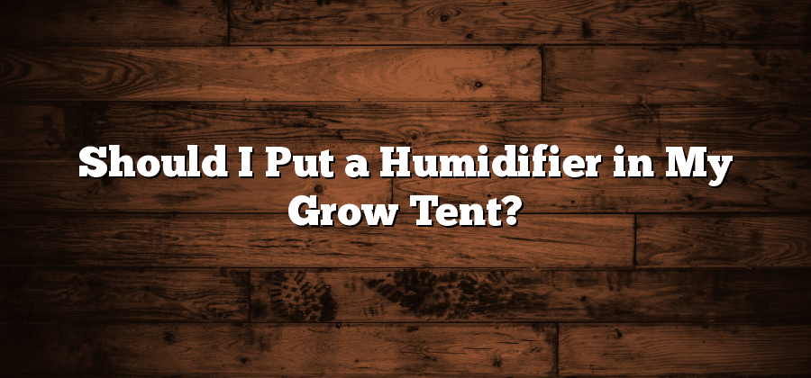 Should I Put a Humidifier in My Grow Tent?