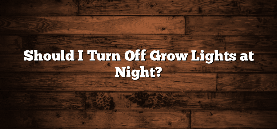 Should I Turn Off Grow Lights at Night?