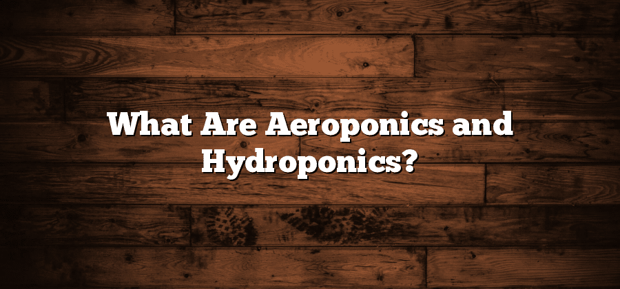 What Are Aeroponics and Hydroponics?