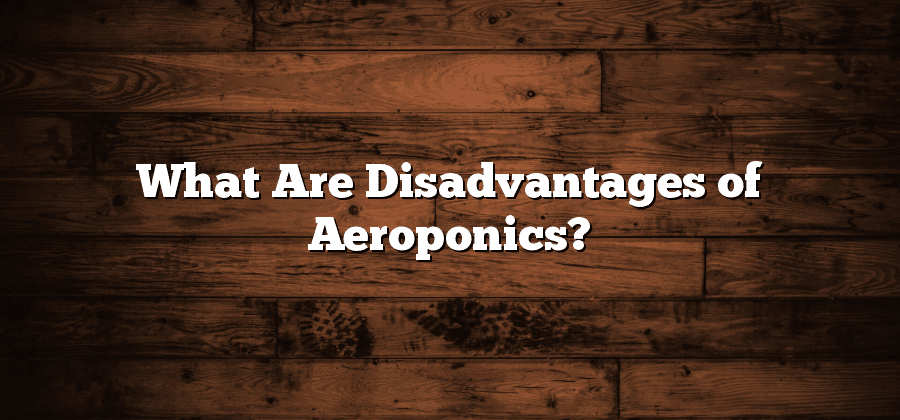 What Are Disadvantages of Aeroponics?