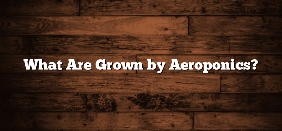 What Are Grown by Aeroponics?