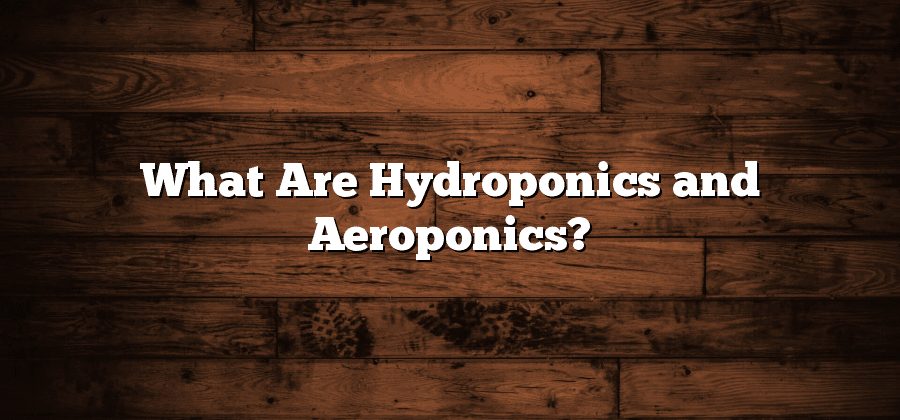 What Are Hydroponics and Aeroponics?