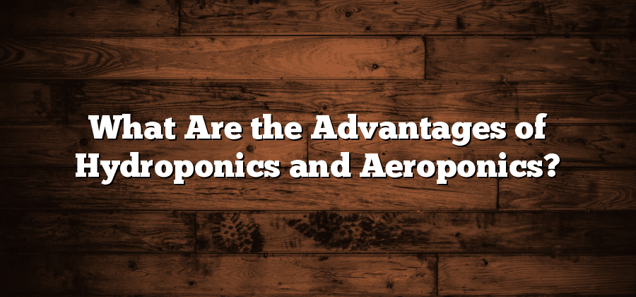 What Are the Advantages of Hydroponics and Aeroponics?